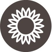 La fleur de tournesol